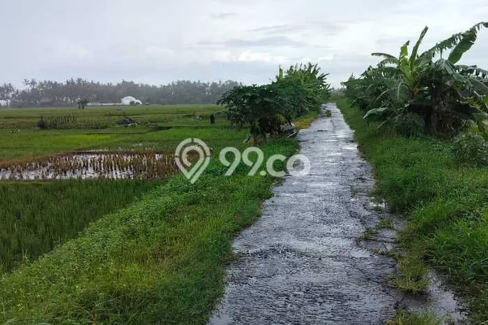 Kavling Tanah untuk Dijual di Tibubiyu, Tabanan, Luas 7100m2 Kavling Tanah untuk Dijual di Tibubiyu, Tabanan, Luas 7100m2