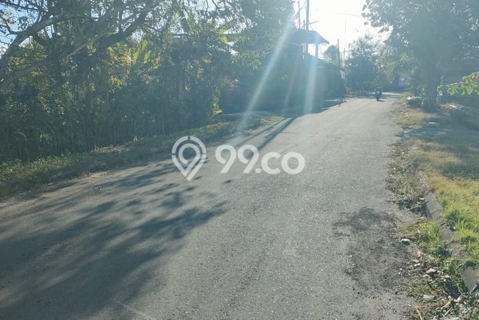 Tanah Disewa di Nusa Dua Strategis dan Memiliki Luas 400m2 Tanah Disewa di Nusa Dua Strategis dan Memiliki Luas 400m2