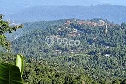 Tanah Dijual Area Strategis di Munduk Buleleng 42500m2 Tanah Dijual Area Strategis di Munduk Buleleng 42500m2
