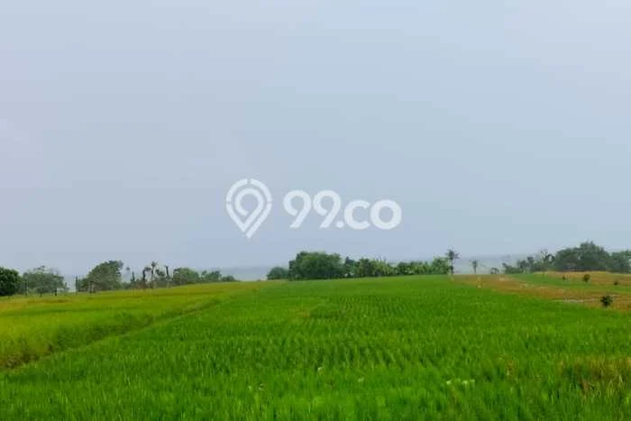 Kavling Tanah untuk Dijual di Tibubiyu, Tabanan, Luas 7100m2 Kavling Tanah untuk Dijual di Tibubiyu, Tabanan, Luas 7100m2