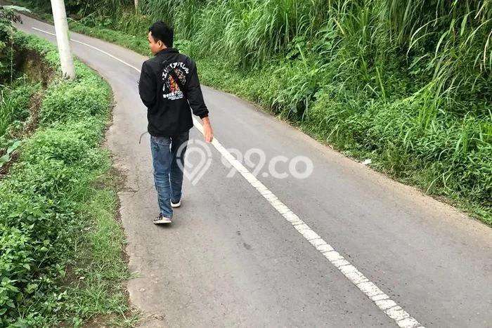 Dijual Tanah Lokasi Munduk, Buleleng Seluas 5150m2 Dijual Tanah Lokasi Munduk, Buleleng Seluas 5150m2