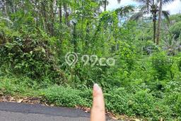 Jarang Ada! Tanah di Tegallalang Punya Luas 2300m2 - Jarang Ada! Tanah di Tegallalang Punya Luas 2300m2 -