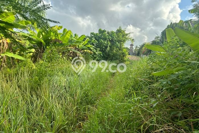 Dijual Tanah di Badung, Luas 2312m2 - Dijual Tanah di Badung, Luas 2312m2 -