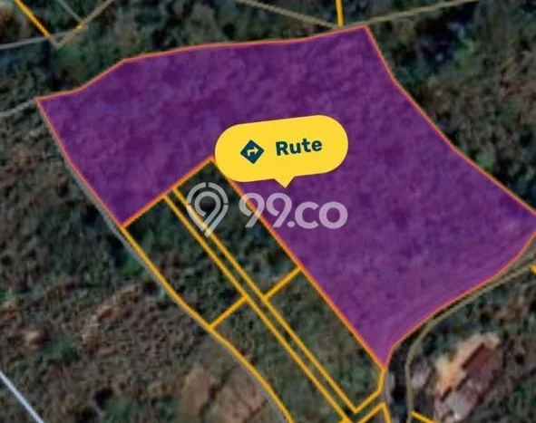 Dijual Tanah Lokasi Munduk, Buleleng Seluas 5150m2 Dijual Tanah Lokasi Munduk, Buleleng Seluas 5150m2