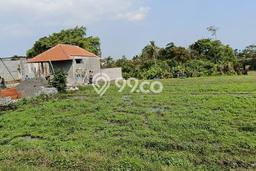 Tanah Disewa Strategis di Badung Luas 5300m2 Tanah Disewa Strategis di Badung Luas 5300m2