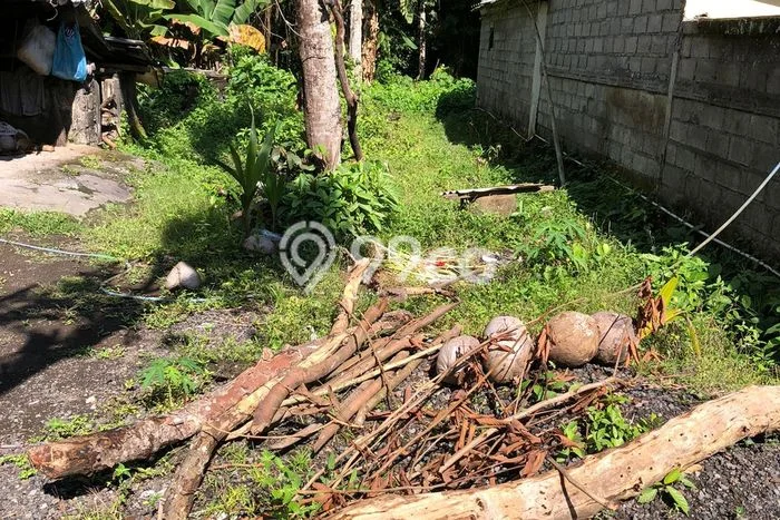 Tanah Siap Bangun Dijual di Gianyar Punya Luas 1000m2 Tanah Siap Bangun Dijual di Gianyar Punya Luas 1000m2