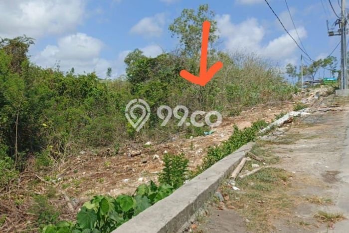 Jarang Ada! Tanah Kavling Disewakan di Badung 1000m2 Jarang Ada! Tanah Kavling Disewakan di Badung 1000m2