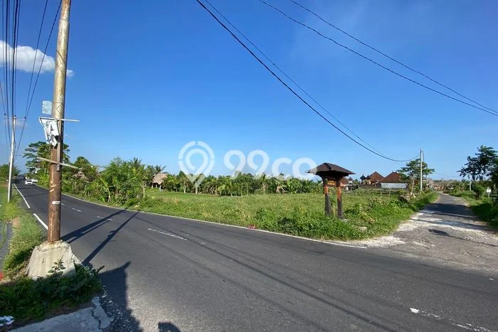 Tanah Kavling Dijual di Sibang Gede, Badung dengan Luas Tanah 4350m2 Tanah Kavling Dijual di Sibang Gede, Badung dengan Luas Tanah 4350m2