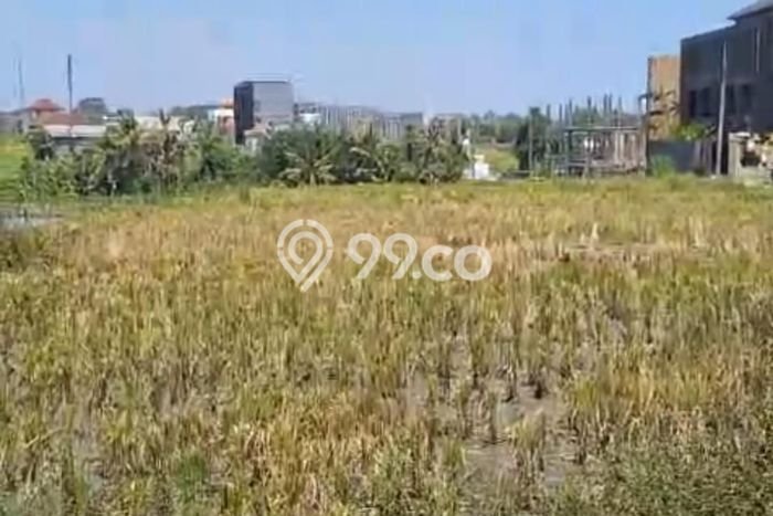 Tanah Disewa di Cemagi Strategis dan Memiliki Luas 2700m2 Tanah Disewa di Cemagi Strategis dan Memiliki Luas 2700m2