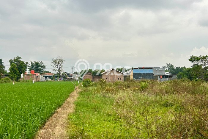 Untuk Dijual Tanah di Cirebon, Luas 550m2 SHM Untuk Dijual Tanah di Cirebon, Luas 550m2 SHM