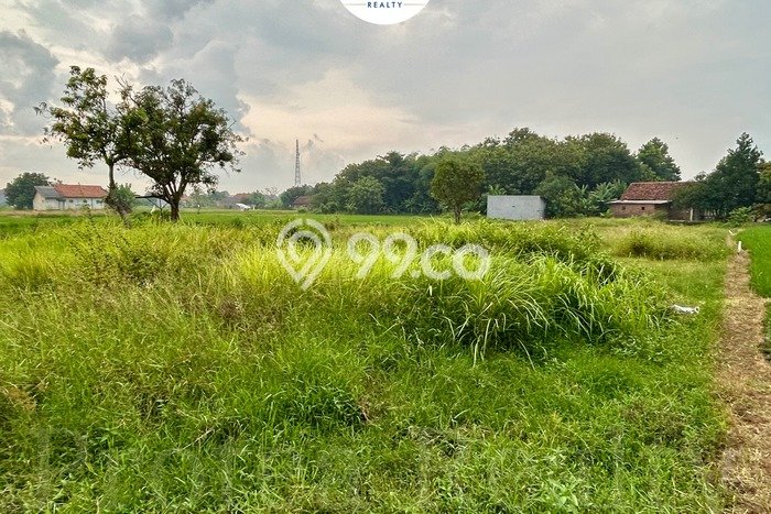 Untuk Dijual Tanah di Cirebon, Luas 550m2 SHM Untuk Dijual Tanah di Cirebon, Luas 550m2 SHM