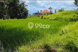 Lahan untuk Dijual Lokasi Ubud, Gianyar Luas 757m2 SHM Lahan untuk Dijual Lokasi Ubud, Gianyar Luas 757m2 SHM