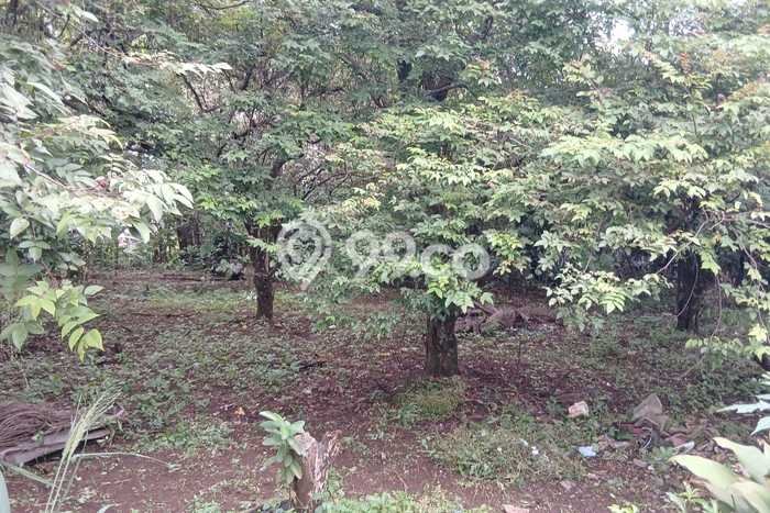 Untuk Dijual Tanah di Depok, Luas 1981m2 SHM Untuk Dijual Tanah di Depok, Luas 1981m2 SHM