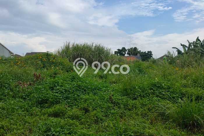 Jarang Ada! Tanah Kavling Disewakan di Bandung 2000m2 Jarang Ada! Tanah Kavling Disewakan di Bandung 2000m2