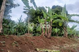 Tanah Dijual Lokasi Arcamanik, Bandung Luas 2300m2 Legalitas Aman Tanah Dijual Lokasi Arcamanik, Bandung Luas 2300m2 Legalitas Aman