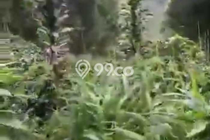 Kavling Tanah di Ciwidey Dijual Luas 10000m2 Legalitas HGU Kavling Tanah di Ciwidey Dijual Luas 10000m2 Legalitas HGU