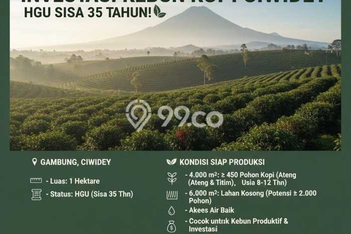 Kavling Tanah di Ciwidey Dijual Luas 10000m2 Legalitas HGU Kavling Tanah di Ciwidey Dijual Luas 10000m2 Legalitas HGU