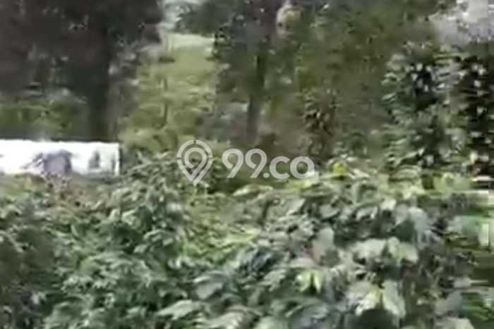 Kavling Tanah di Ciwidey Dijual Luas 10000m2 Legalitas HGU Kavling Tanah di Ciwidey Dijual Luas 10000m2 Legalitas HGU