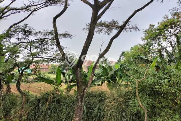 Tanah Dijual Lokasi Baleendah, Bandung Luas 1040m2 Legalitas Aman Tanah Dijual Lokasi Baleendah, Bandung Luas 1040m2 Legalitas Aman