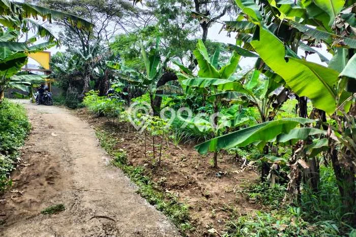 Tanah Dijual Lokasi Baleendah, Bandung Luas 1040m2 Legalitas Aman Tanah Dijual Lokasi Baleendah, Bandung Luas 1040m2 Legalitas Aman