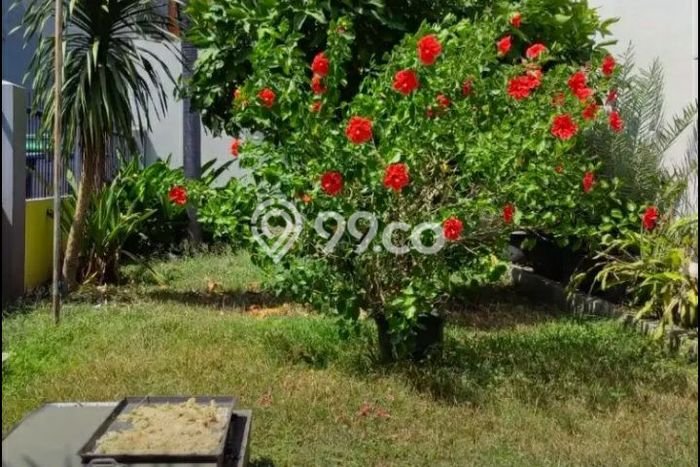 Rumah Elit Modern Siap Huni di Jelambar Jakarta Barat Rumah Elit Modern Siap Huni di Jelambar Jakarta Barat