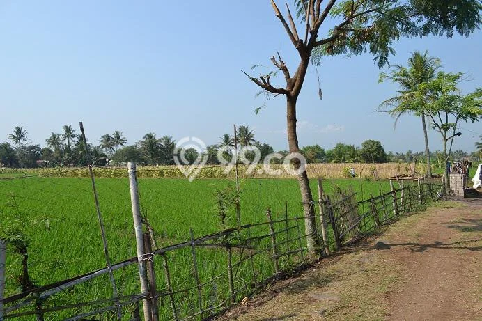Tanah Dijual Lokasi Cianjur, Cianjur dengan Luas Tanah 31000m2 dan Status SHM Tanah Dijual Lokasi Cianjur, Cianjur dengan Luas Tanah 31000m2 dan Status SHM