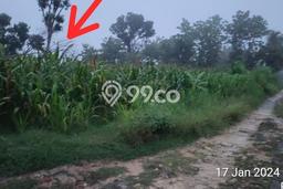 Tanah Kavling Dijual di Boyolali Kota, Boyolali dengan Luas Tanah 14000m2 Tanah Kavling Dijual di Boyolali Kota, Boyolali dengan Luas Tanah 14000m2