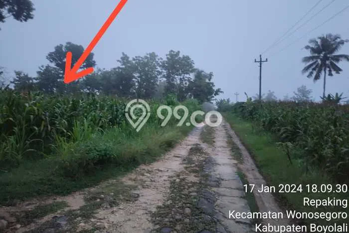 Tanah Kavling Dijual di Boyolali Kota, Boyolali dengan Luas Tanah 14000m2 Tanah Kavling Dijual di Boyolali Kota, Boyolali dengan Luas Tanah 14000m2