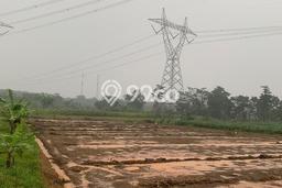 Disewakan Tanah Seluas 8500m2 di Batang, Batang Disewakan Tanah Seluas 8500m2 di Batang, Batang