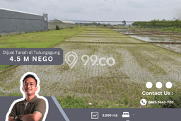 Tanah di Tulungagung, Luas 2500m², Area Komersial Tanah di Tulungagung, Luas 2500m², Area Komersial