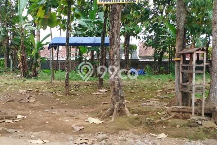 Kavling Tanah di Sumbang Dijual Luas 1670m2 Legalitas SHM Kavling Tanah di Sumbang Dijual Luas 1670m2 Legalitas SHM