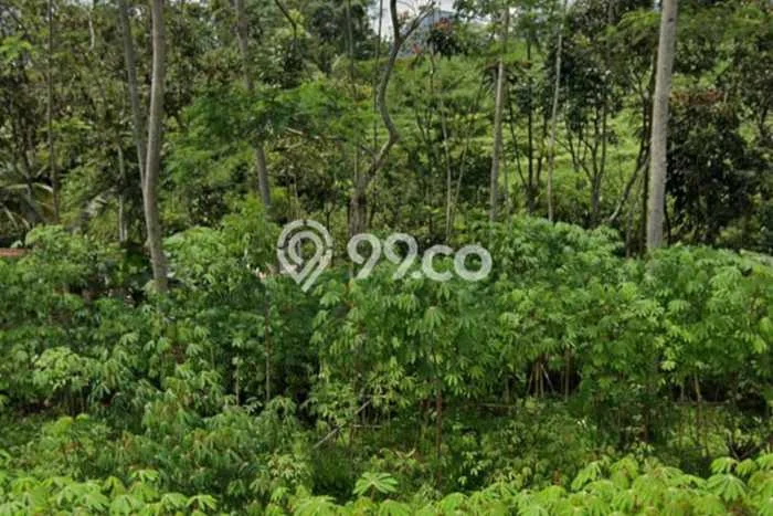 Untuk Dijual Tanah 700m2 di Baturaden, Banyumas Untuk Dijual Tanah 700m2 di Baturaden, Banyumas