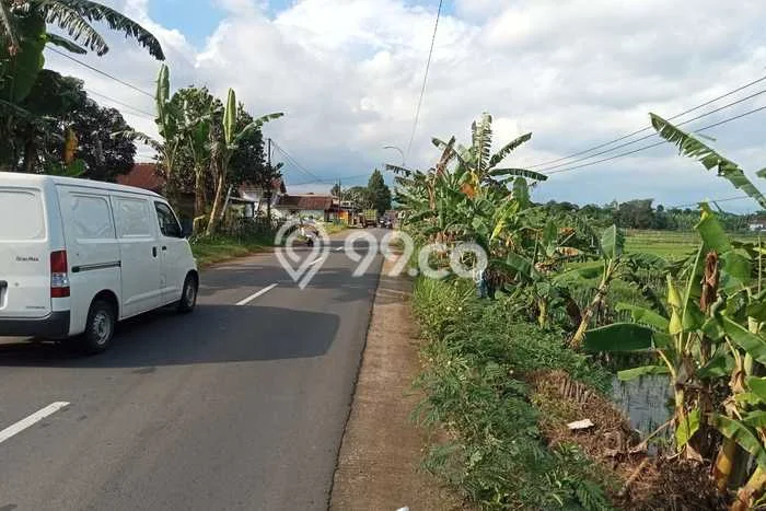 Untuk Dijual Tanah di Banyumas Banyumas Luas 9000m2 - Untuk Dijual Tanah di Banyumas Banyumas Luas 9000m2 -