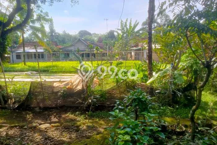 Kavling Tanah untuk Dijual di Kedungbanteng, Banyumas, Luas 868m2 Kavling Tanah untuk Dijual di Kedungbanteng, Banyumas, Luas 868m2