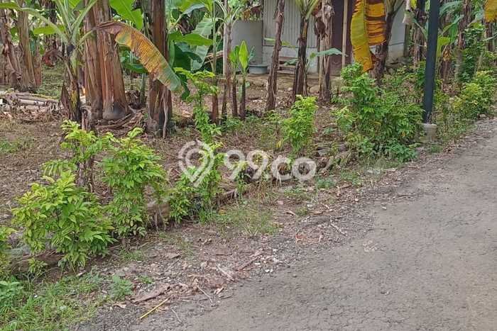 Kavling Tanah Dijual di Kembaran Banyumas Spesifikasi 898m2 Kavling Tanah Dijual di Kembaran Banyumas Spesifikasi 898m2