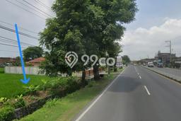 Jarang Ada! Tanah di Masaran Punya Luas 500m2 SHM Jarang Ada! Tanah di Masaran Punya Luas 500m2 SHM