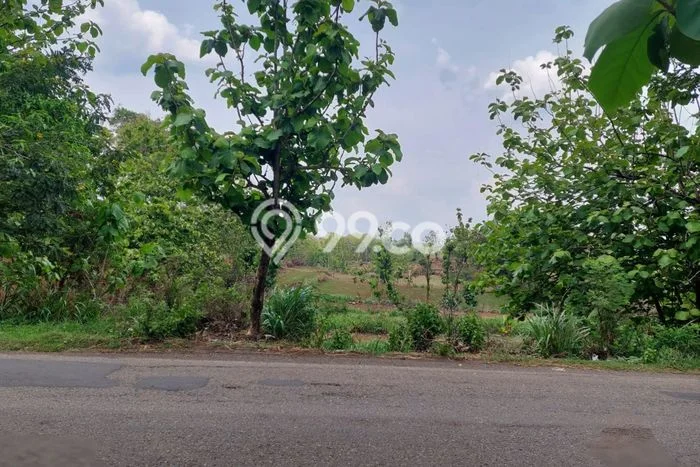 Lahan untuk Dijual Lokasi Sambi, Boyolali Luas 2198m2 SHM Lahan untuk Dijual Lokasi Sambi, Boyolali Luas 2198m2 SHM
