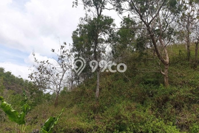 Lahan Kosong Dijual di Wonogiri dengan Area 19000m2 Lahan Kosong Dijual di Wonogiri dengan Area 19000m2
