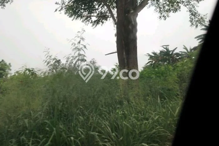 Kavling Tanah Dijual di Sepatan Tangerang Spesifikasi 16500m2 Kavling Tanah Dijual di Sepatan Tangerang Spesifikasi 16500m2