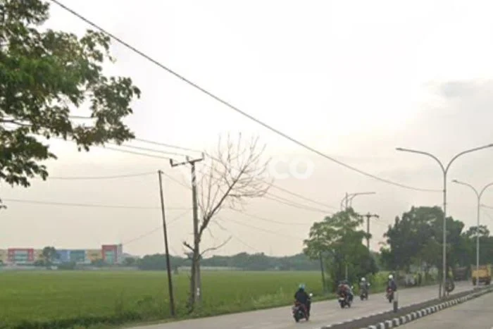 Tanah Dijual Lokasi Karawang Barat, Karawang Luas 300000m2 Legalitas Aman Tanah Dijual Lokasi Karawang Barat, Karawang Luas 300000m2 Legalitas Aman