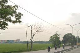 Tanah Dijual Lokasi Karawang Barat, Karawang Luas 300000m2 Legalitas Aman Tanah Dijual Lokasi Karawang Barat, Karawang Luas 300000m2 Legalitas Aman