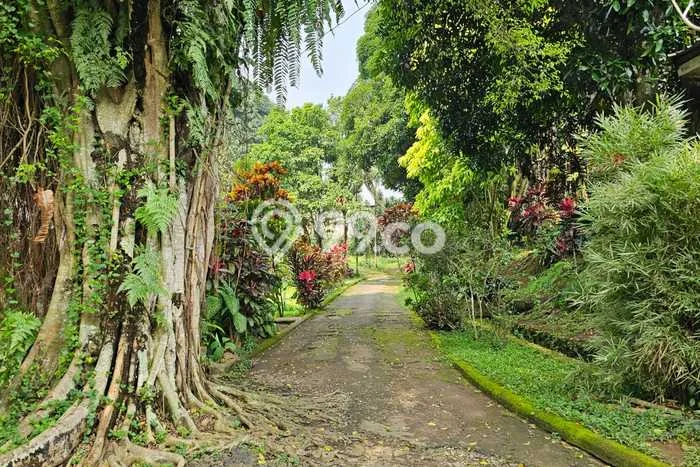 Dijual Tanah 10000m2 di Gadog, Bogor Dijual Tanah 10000m2 di Gadog, Bogor