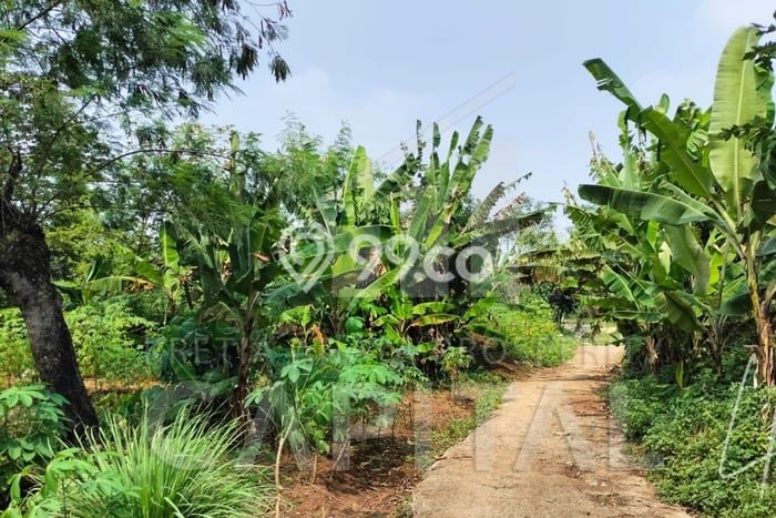 LOKASI PREMIUM! Tanah Kawasan Baleendah, Luas 1040m2m², Cocok untuk Investasi LOKASI PREMIUM! Tanah Kawasan Baleendah, Luas 1040m2m², Cocok untuk Investasi