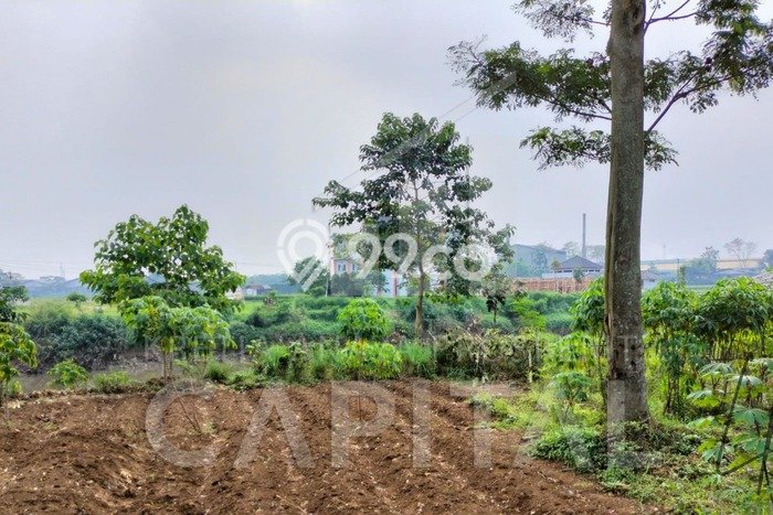 LOKASI PREMIUM! Tanah Kawasan Baleendah, Luas 1040m2m², Cocok untuk Investasi LOKASI PREMIUM! Tanah Kawasan Baleendah, Luas 1040m2m², Cocok untuk Investasi