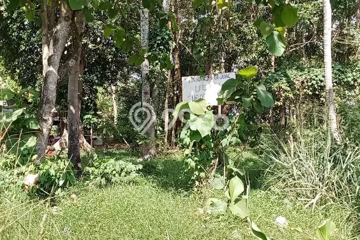 Tanah untuk Dijual Lokasi Bumi Ratu Nuban, Lampung Tengah Luas 10000m2 SHM Tanah untuk Dijual Lokasi Bumi Ratu Nuban, Lampung Tengah Luas 10000m2 SHM