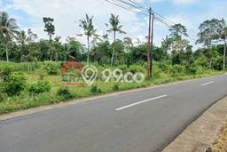 Tanah di Jabung, Malang Luas 1904m2 Dijual Segera Tanah di Jabung, Malang Luas 1904m2 Dijual Segera