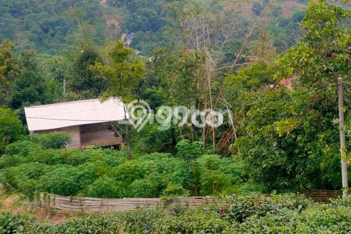 Tanah untuk Dijual Lokasi Cigudeg, Bogor Luas 2400m2 - Tanah untuk Dijual Lokasi Cigudeg, Bogor Luas 2400m2 -