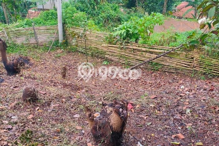 Dijual Tanah di Cigudeg, Luas 2400m2m², Akses Mudah Dijual Tanah di Cigudeg, Luas 2400m2m², Akses Mudah