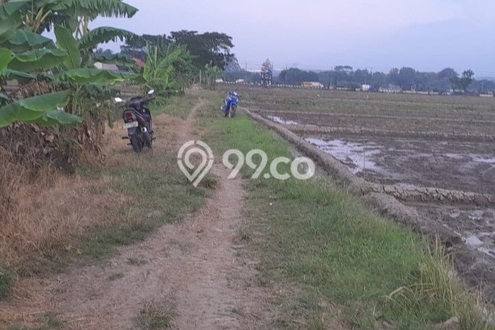 Dijual Tanah di Masaran Sragen Luas 900m2 SHM Dijual Tanah di Masaran Sragen Luas 900m2 SHM