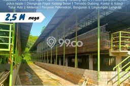Komersial Dijual Lokasi Emas di Patuk Luas 2000m2 Komersial Dijual Lokasi Emas di Patuk Luas 2000m2